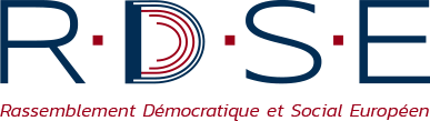 logo rdse